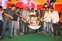 Nuvva Nena Audio Launch